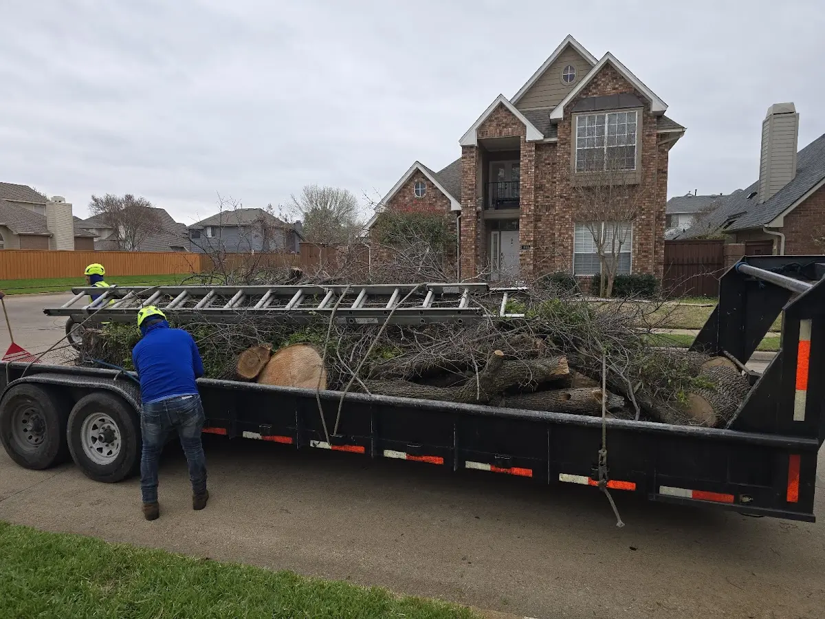 Expert Tree Fertilization with proper safety equipment in Plattsburg